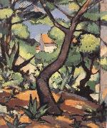 Samuel John Peploe Landscape at Cassis oil on canvas